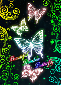 Beautiful Rainbow butterfly～ 美しい蝶～