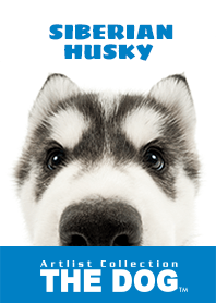 THE DOG シベリアン•ハスキー２