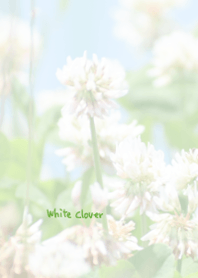 White clover Theme 2