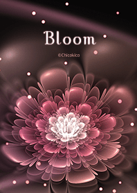 Bloom 01
