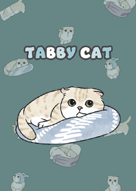 creamtabby3 / cadet blue