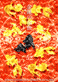 Goldfish of money luck Lucky number 52