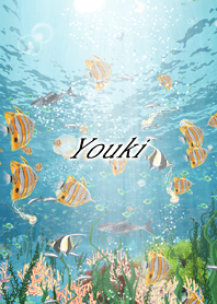 Youki Coral & tropical fish