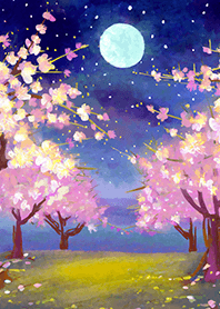 Beautiful night cherry blossoms#1285