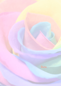 Rainbow rose Theme 6