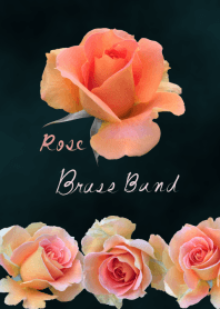 ROSE ~Brass Band~