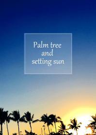 Palm tree and setting sun #cool