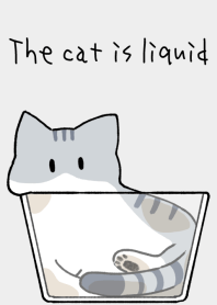 The cat is liquid [silver tabby white]