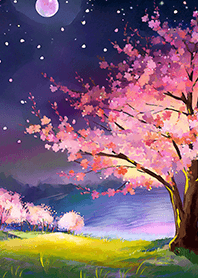 Beautiful night cherry blossoms#1439