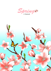 Season series - spring sakura (blue)