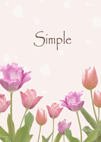 Gentle Tulip7