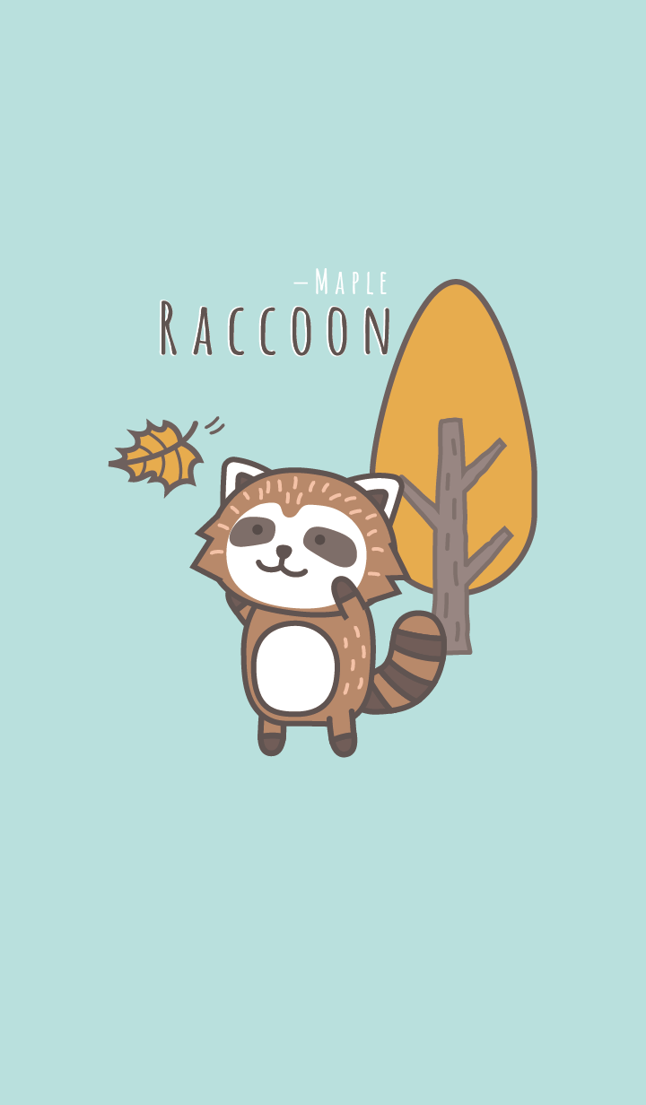 Maple Raccoon