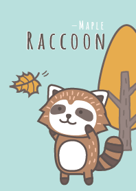 Maple Raccoon