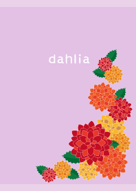 autumn dahlia on light purple JP