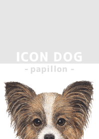 ICON DOG - Papillon - GRAY/04