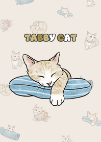 creamtabby2 - cream
