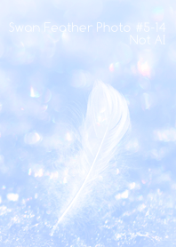 Swan Feather Photo #5-14Not AI