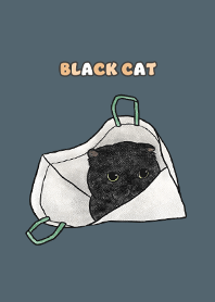blackcat3 / dark steel blue