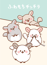 fluffy chinchilla