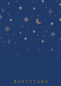 MANY STARS-NAVY 27