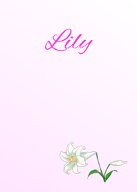 Flower series Lily