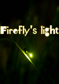 Firefly's light ver.2