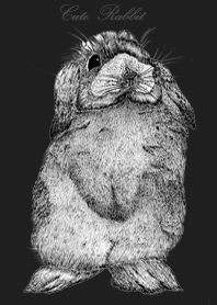 Cute & Cute Rabbit