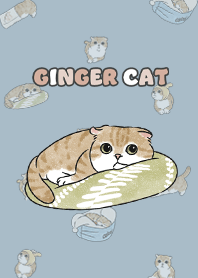 gingercat11 - light steel blue