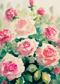 Beautiful rose flower(R4810)