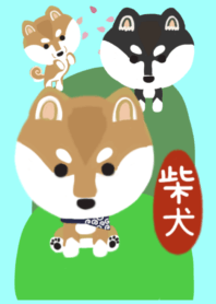 柴犬　太郎といぶき