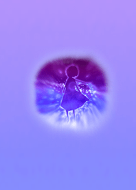 Fairy Teacher Light Purple