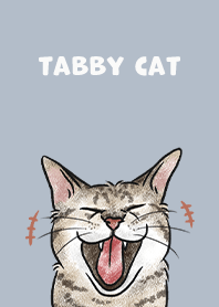 tabbycat4 / slate blue