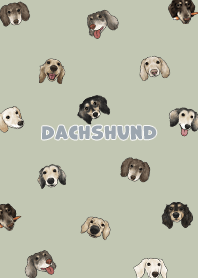 dachshund4 - mist green