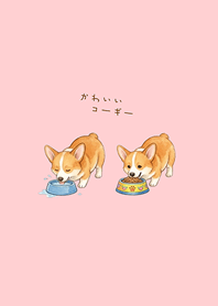 我養的可愛柯基犬(粉紅色)