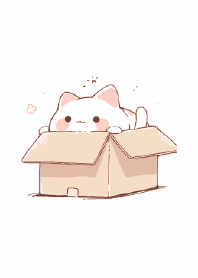 box box cat