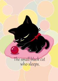子猫の黒猫ちゃん、遊び疲れて寝ました。