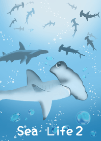 Sea life2 (hammerhead shark)
