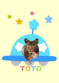 Hamster TOTO