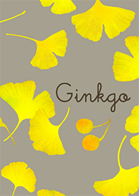 Ginkgo -Passeio de outono-