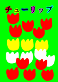Tulip colorful