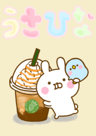 Rabbit Usahina Cute Adult 2