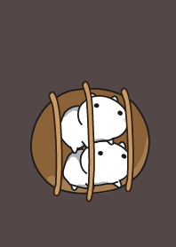 cat staring - 28