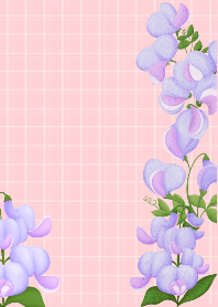 Lovely purple pea flowers