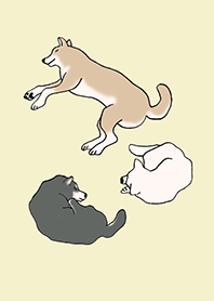 狗 wancorase_06_象牙