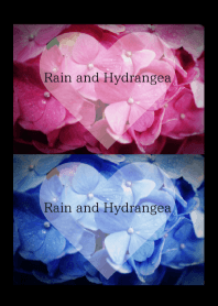 - Rain and Hydrangea - 7 #fresh