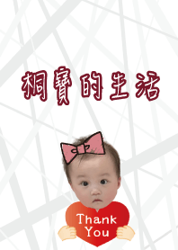 桐寶的生活