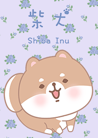 寶貝柴犬狗狗-紫色玫瑰