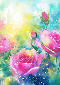 Beautiful rose flower(R2339)