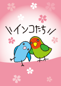 インコたち 春