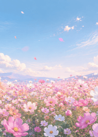 Pastel Cosmos in Autumn
